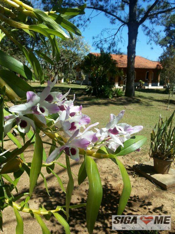 Fazenda à venda com 3 quartos, 150m² - Foto 2