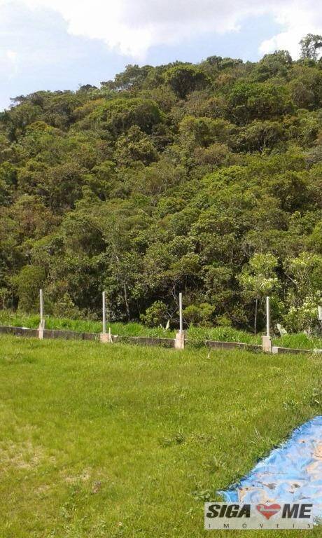 Fazenda à venda com 3 quartos, 300m² - Foto 7