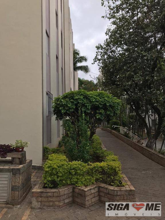 Apartamento à venda com 2 quartos, 56m² - Foto 35